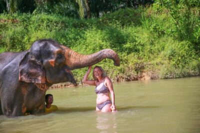Khao Lak: Khao Sok National Park Overnight Treehouse Trip