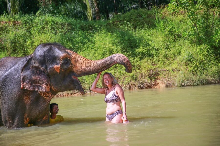 Khao Lak: Khao Sok National Park Overnight Treehouse Trip - Lunch on the lake, swimming, and the ride home