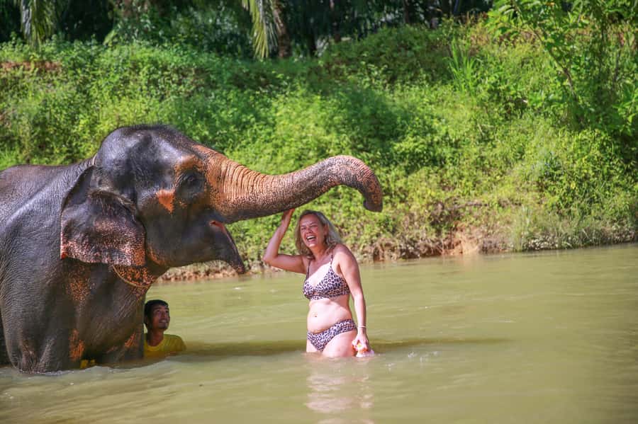 Khao Lak: Khao Sok National Park Overnight Treehouse Trip - Day one: river canoeing and time with elephants