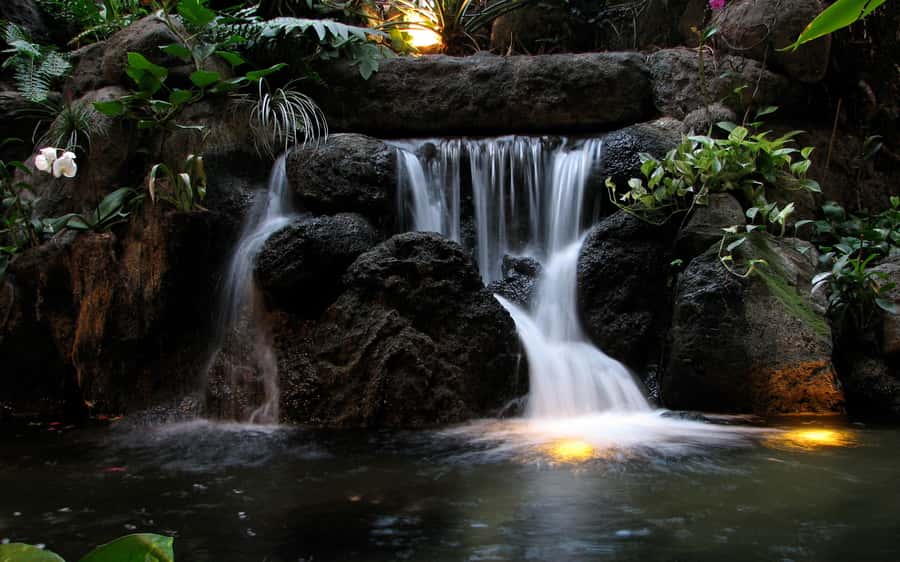 Khao Yai National Park: 2-Day Private Tour from Bangkok - The bat stream is Khao Yai’s perfect opening act