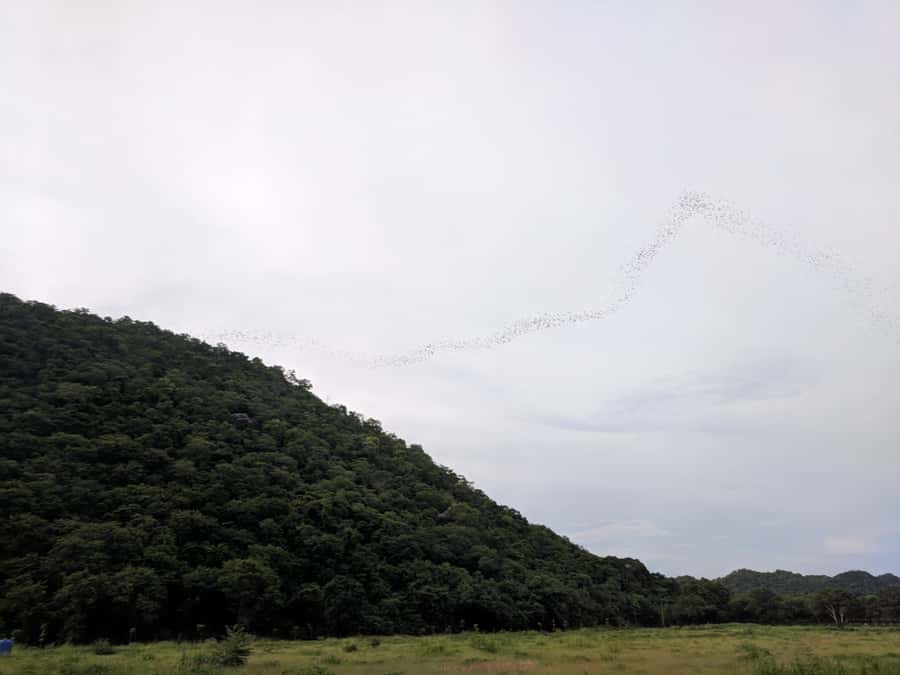 Khao Yai National Park: 2-Day Private Tour from Bangkok - Day one has a mixed rhythm