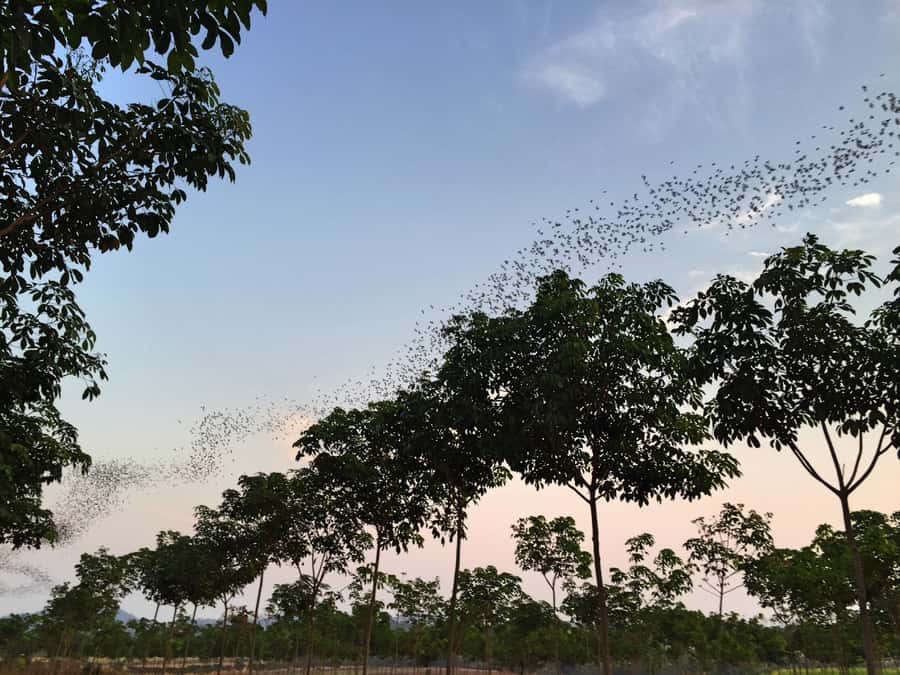Khao Yai National Park: 2-Day Private Tour from Bangkok - Haew Suwat brings water, lunch, and a break