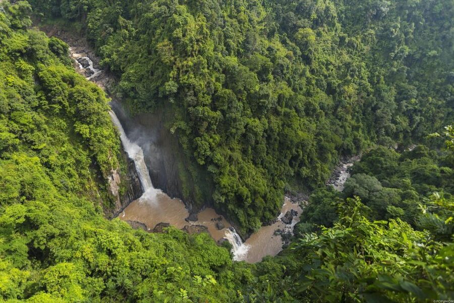 Khao Yai National Park: 2-Day Private Tour from Bangkok - What the $337 price really covers