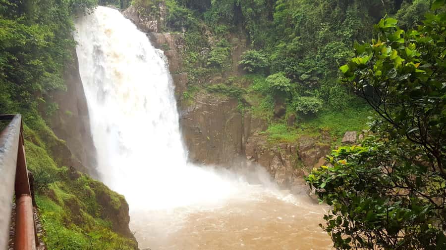 Khao Yai National Park: 2-Day Private Tour from Bangkok - Guides make the difference