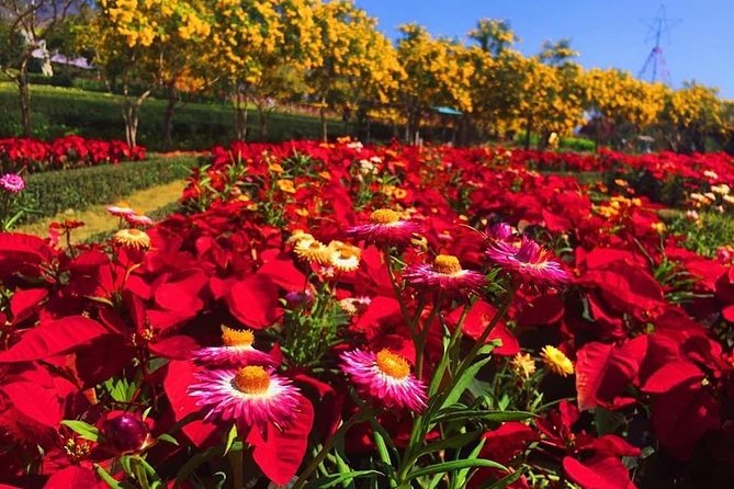Khao Yai national Park day tour from Bangkok - Why Khao Yai makes a worthwhile day from Bangkok