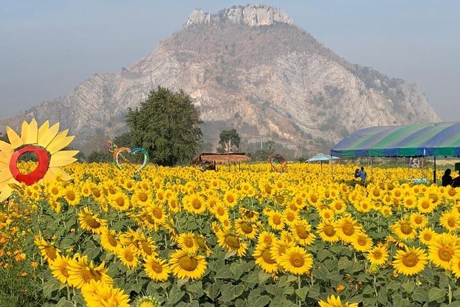 Khao Yai national Park day tour from Bangkok - A note about the chocolate factory stop