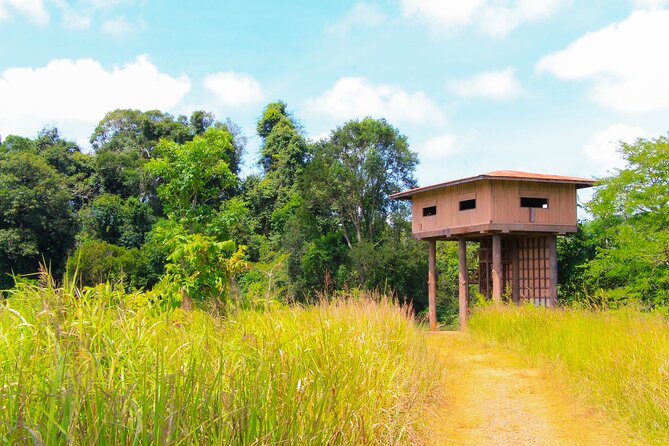 Khao Yai National Park Full Day - Why Khao Yai makes sense as a Bangkok day trip