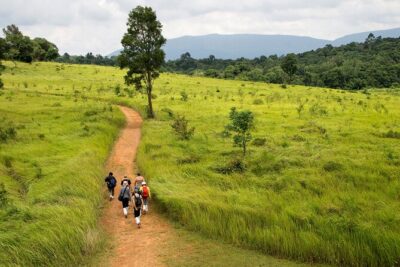 Khao Yai National Park Full Day