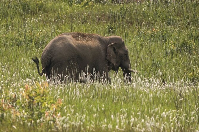 Khao Yai National Park Full-Day From Bangkok - Including Ticket - A long road from Bangkok to Khao Yai