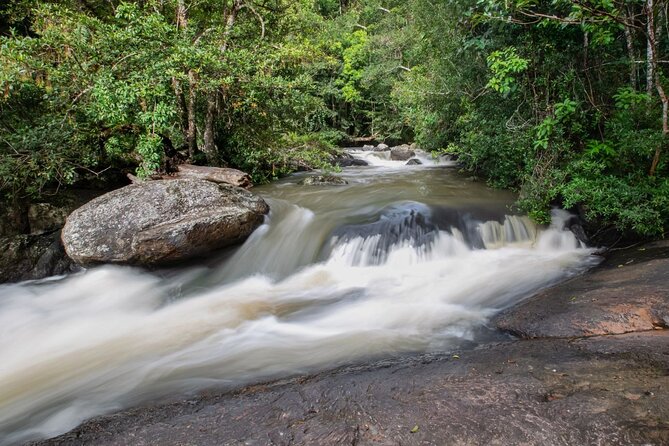 Khao Yai National Park Full-Day From Bangkok - Including Ticket - Wildlife: keep your expectations realistic