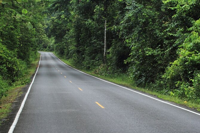 Khao Yai National Park Full-Day From Bangkok - Including Ticket - Lunch, water, and the practical rhythm of the day