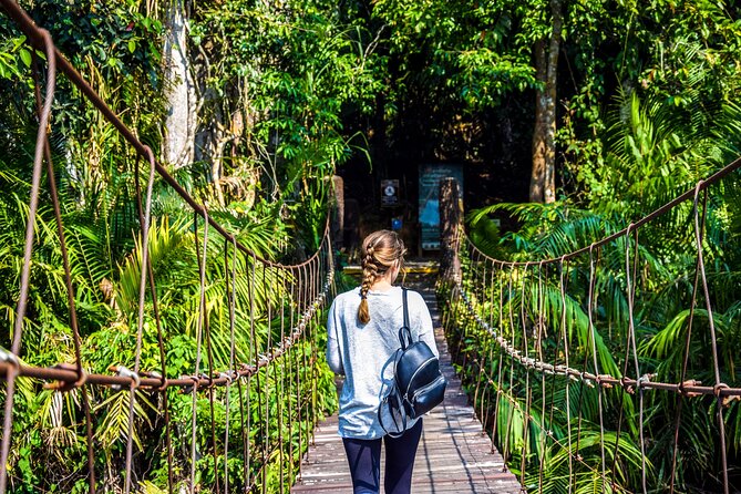 Khao Yai National Park Full Day Tour from Bangkok - Why Khao Yai Makes a Worthwhile Day Trip