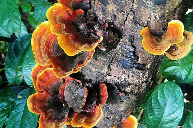 Khao Yai National Park Hiking Day Tour: Haew Narok and Haew Suwat - Haew Suwat and its film connection