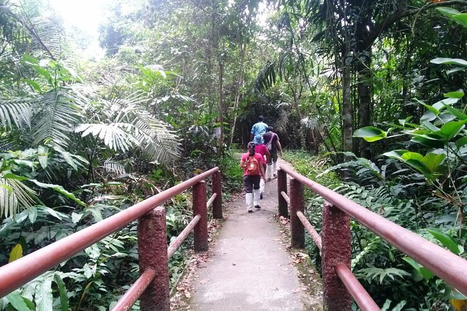 Khao Yai National Park Hiking Day Tour: Haew Narok and Haew Suwat - Thai lunch and the Khao Yai visitor center