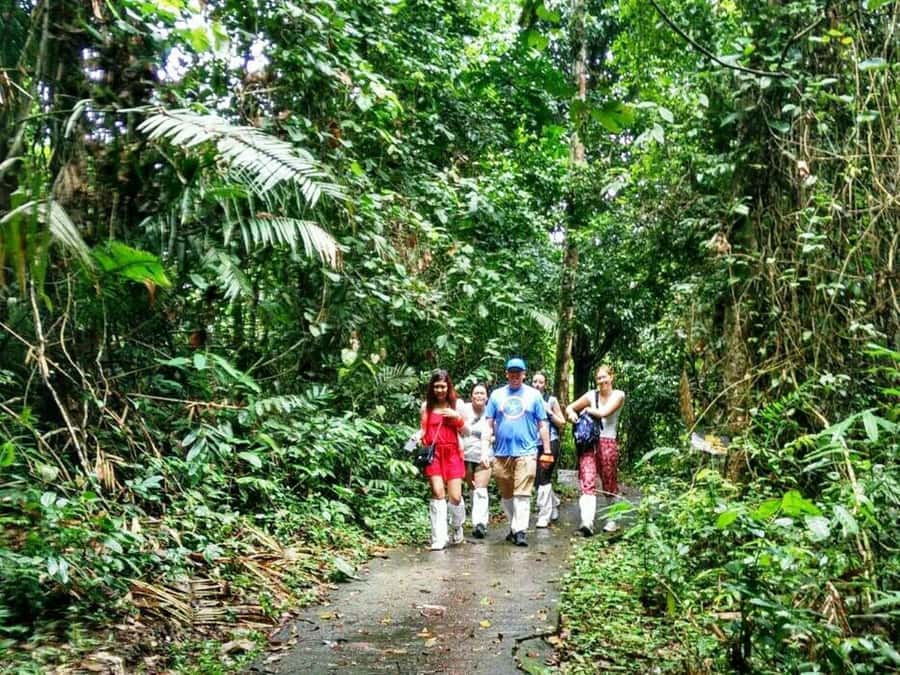 Khao Yai National Park: Waterfalls - Heaw narok & Heaw Suwat - Leaving Bangkok early for Nakhon Nayok
