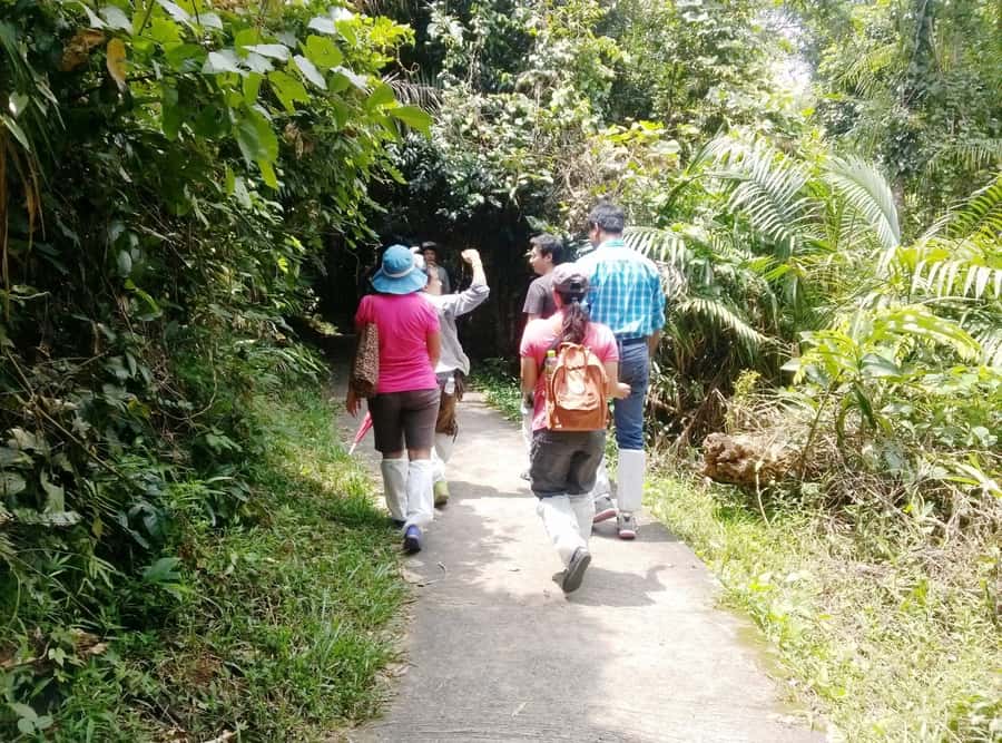 Khao Yai National Park: Waterfalls - Heaw narok & Heaw Suwat - A Thai lunch with practical comforts