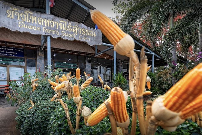 KhaoYai National Park 3D2N - Practical details that matter
