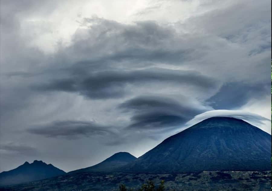 Kigali: Rwanda Gorilla Tracking in Volcanoes National Park - Who will enjoy this most
