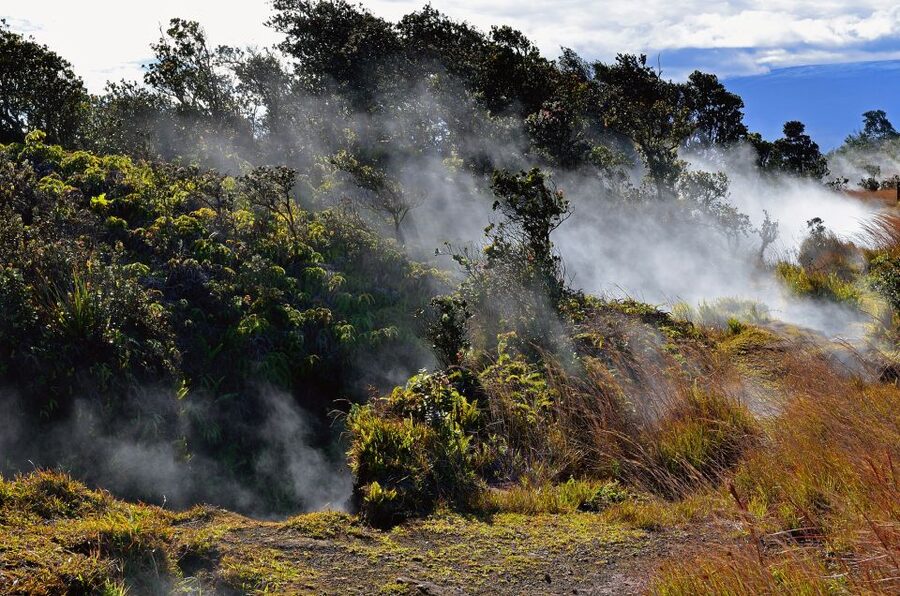 Kilauea: Volcanoes National Park Guided Hike - What to bring for a rain-or-shine hike