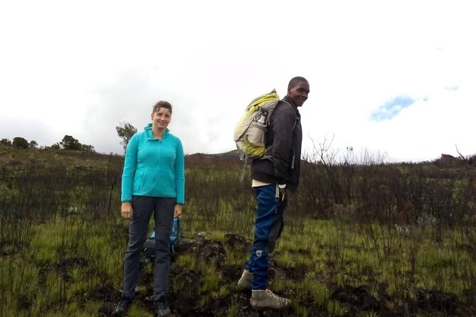 Kilimanjaro National Park Day Trip - A one-day introduction to Kilimanjaro