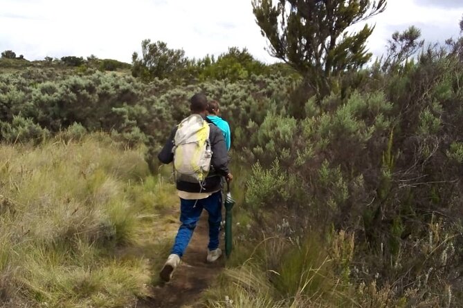 Kilimanjaro National Park Day Trip - The descent and return to Arusha