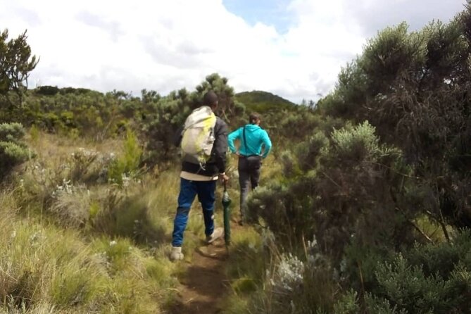 Kilimanjaro National Park Day Trip - What the $250.42 price covers