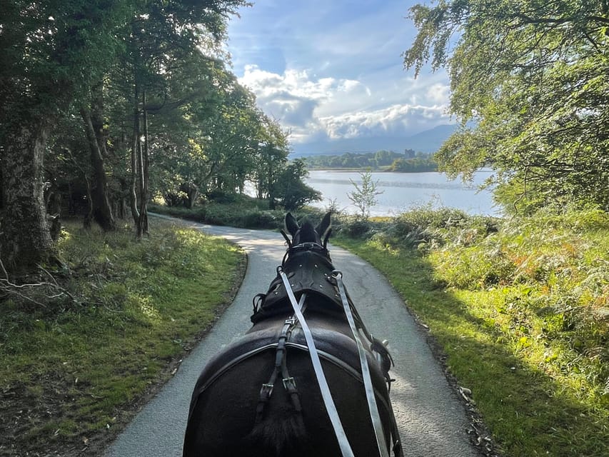 Killarney Carriage Tours National Park and Lakes - Key points at a glance