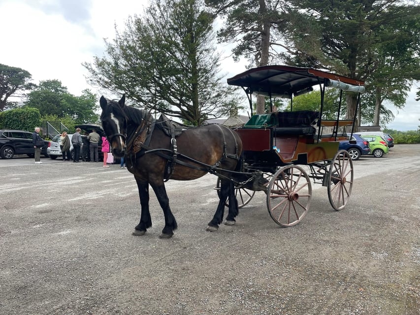 Killarney Carriage Tours National Park and Lakes - Why the jaunting car is a good fit for Killarney