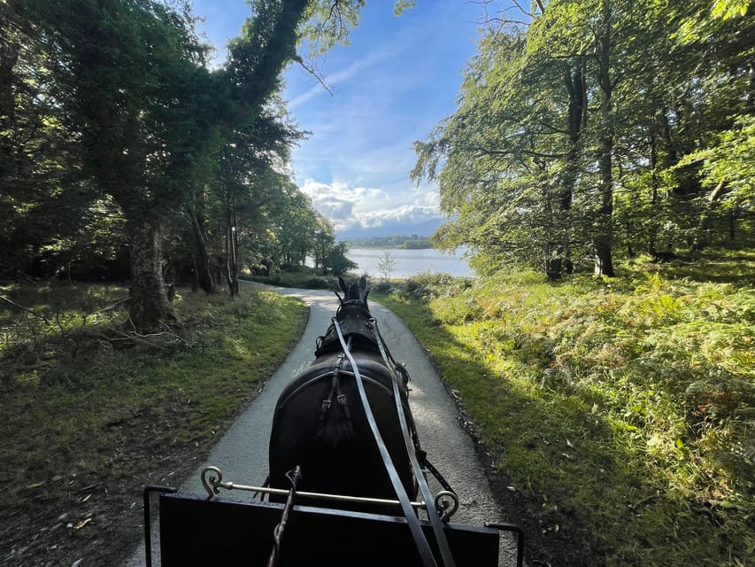 Killarney Carriage Tours National Park and Lakes - What the private format adds at $40 per person