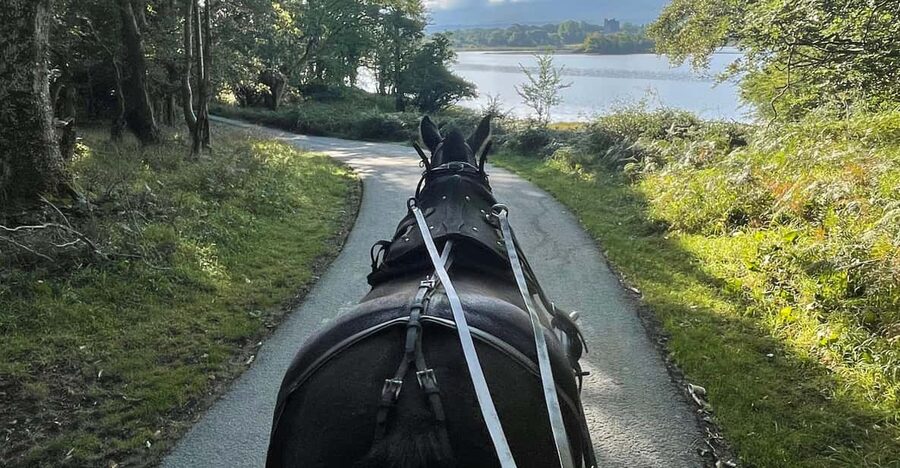 Killarney Carriage Tours National Park and Lakes - Who will enjoy this one-hour route