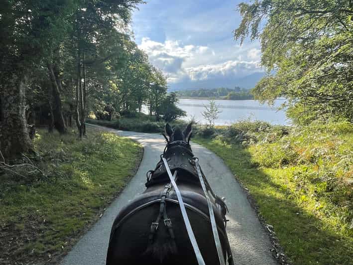 Killarney Carriage Tours National Park and Lakes - Should you book the Killarney carriage tour?