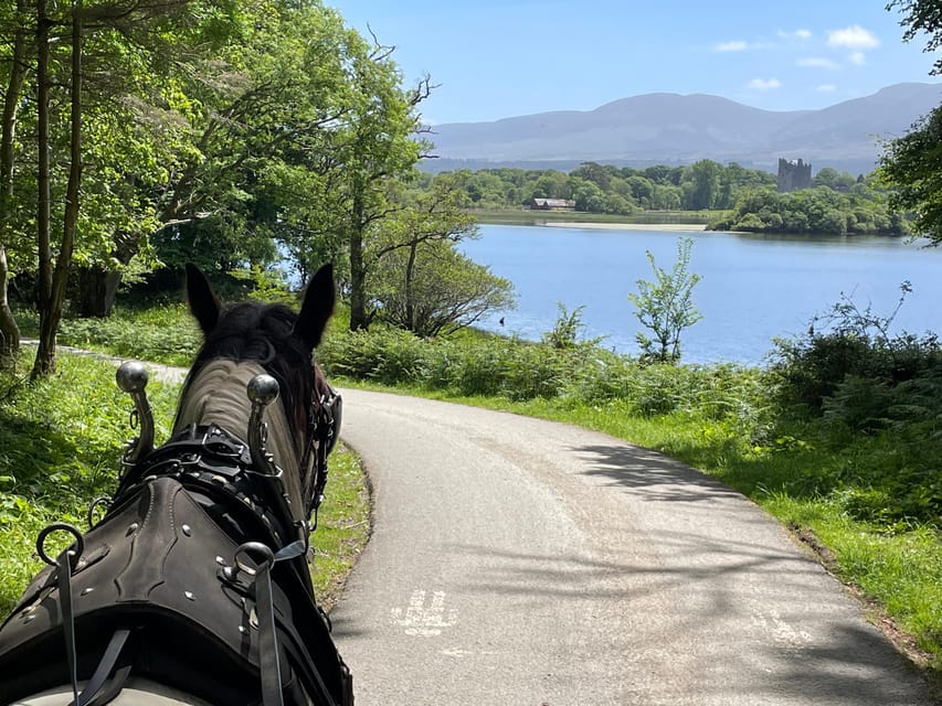 Killarney Carriage Tours National Park and Lakes - From 228 Beech Road to St Mary’s Cathedral