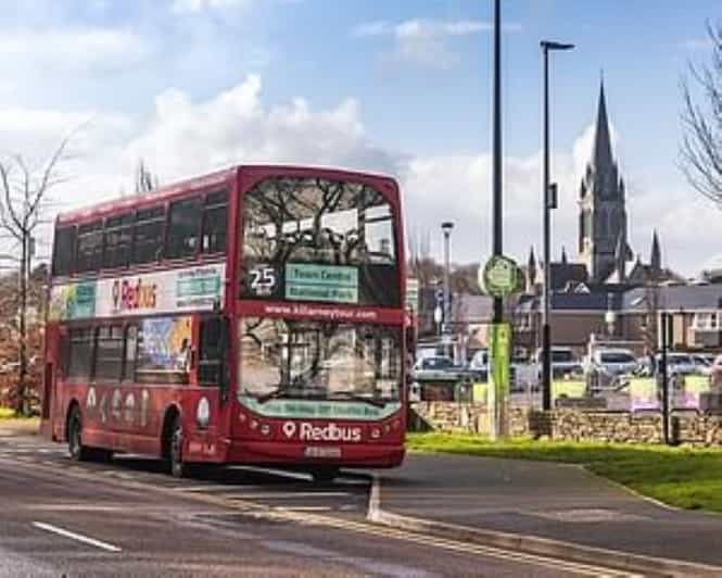 Killarney: Hop-On Hop-Off Bus to Killarney National Park - Why this bus works well in Killarney National Park