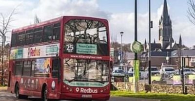 Hop-On Hop-Off Bus to Killarney National Park