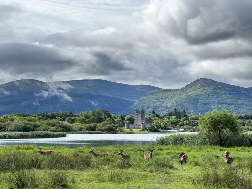 Killarney: Killarney National Park Private Tour - Key points to know before booking