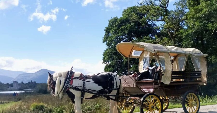 Killarney: Killarney National Park Private Tour - Through Killarney National Park in about 50 minutes