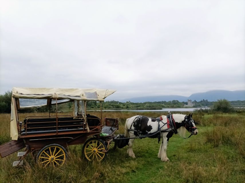 Killarney: Killarney National Park Private Tour - Innishfallon and Killarney’s old religious story