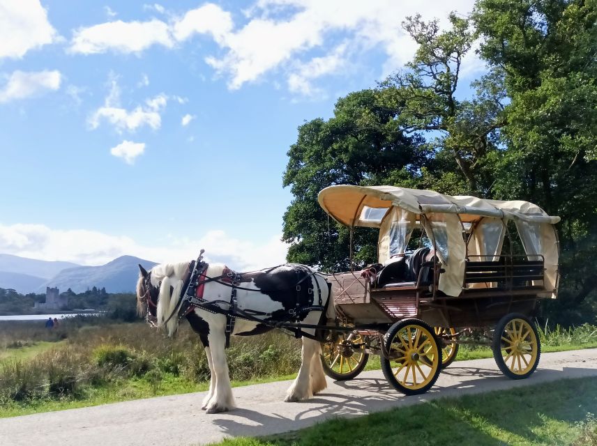 Killarney: Killarney National Park Private Tour - Rain, wind, and the covered carriage