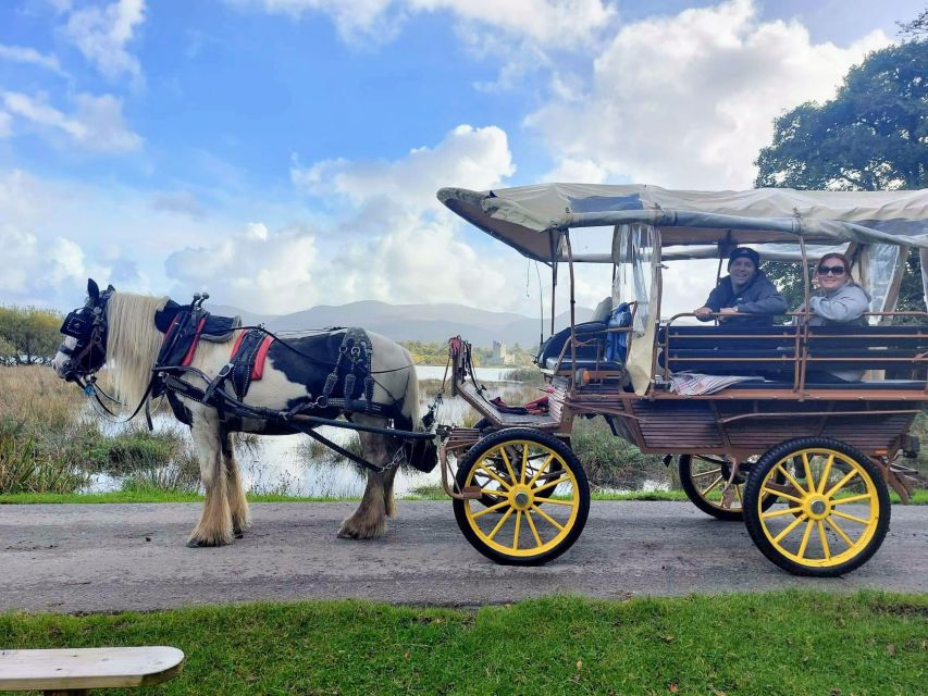 Killarney: Killarney National Park Private Tour - Practical details that affect your choice