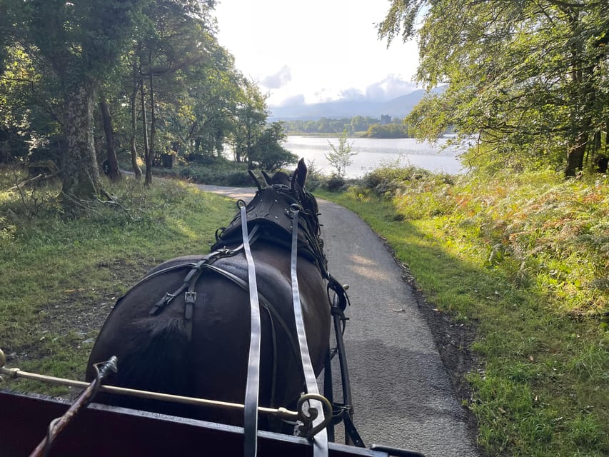 Killarney National Park Jaunting Car Tour - Why this short Killarney ride works