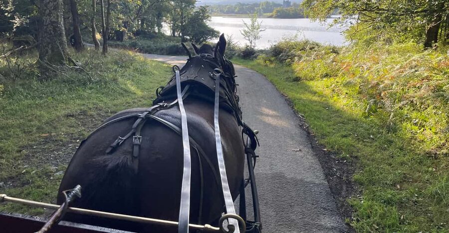 Killarney National Park Jaunting Car Tour - Entering Killarney National Park by carriage