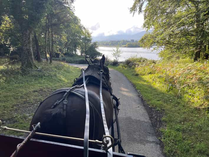 Killarney National Park Jaunting Car Tour - What the private format means