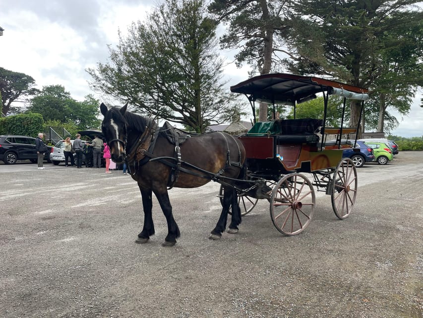 Killarney National Park Jaunting Car Tour - Starting at Beech Road and St Mary’s Cathedral