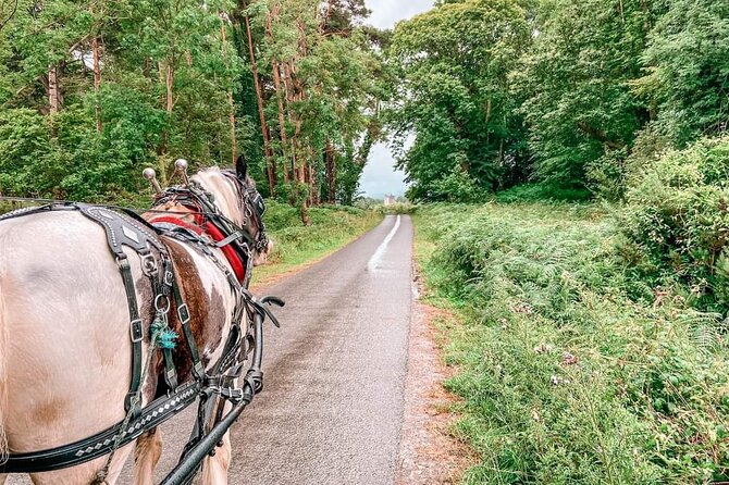 Killarney National Park Tour - Riding through the 25,000-acre park