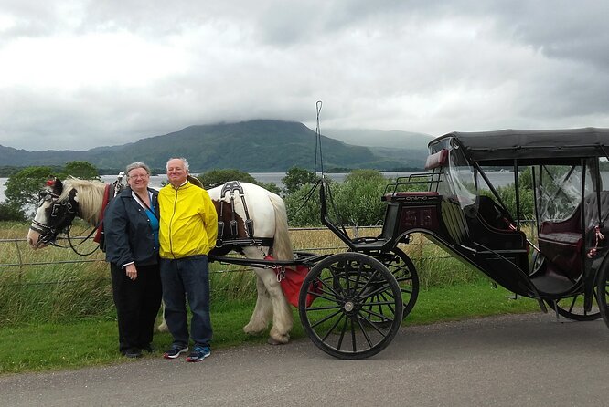 Killarney National Park Tour - The value of a local driver