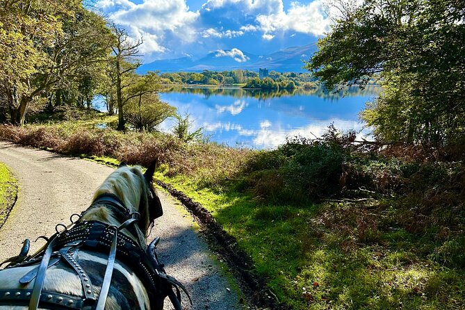 Killarney National Park Tour - What the private format changes