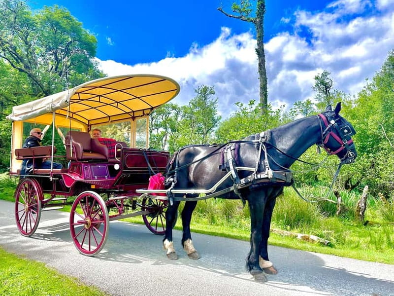 Killarney National Park Tour - How the weather affects the experience