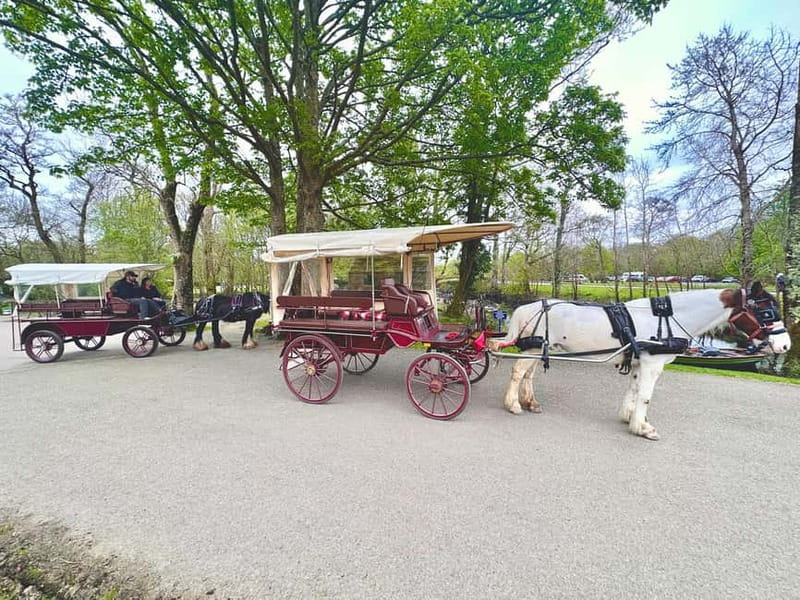Killarney National Park Tour - Is $51 a fair price for one hour?