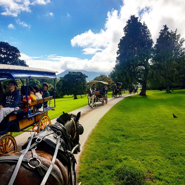 Killarney: Views & Brews Jaunting in Killarney National Park - The short ride to Killarney Brewery