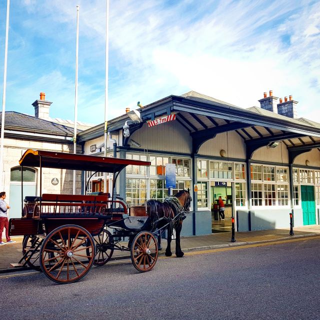 Killarney: Views & Brews Jaunting in Killarney National Park - Should you book this jaunting car tour?